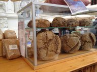 1 Tag Krems – Lust auf Krems