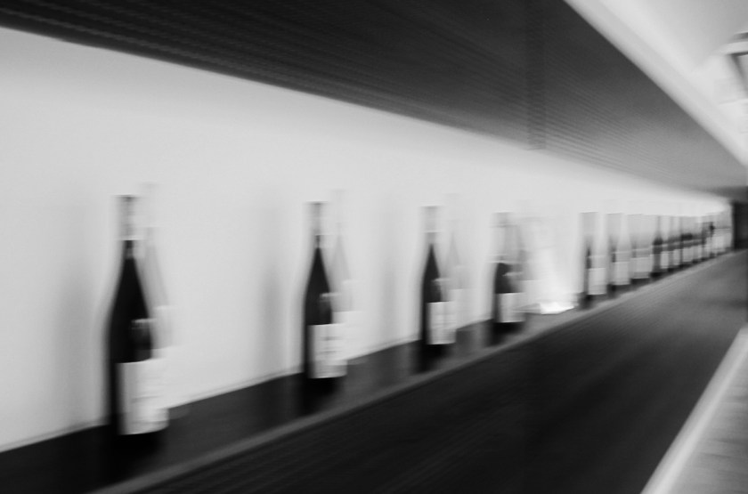 Stadtweingut_IMG_8657