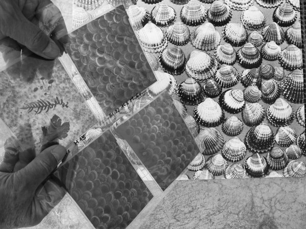 Negativ vor Endprodukt. Positiv!