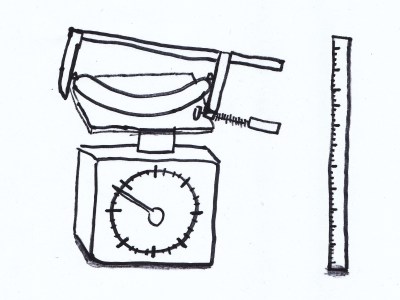 Wie schaut das ideale Würstel zum Kremser Senf aus