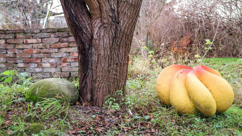 Keramik von Iris Auer-Möseler | www.lustaufkrems.com