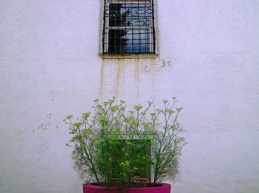 IMG_7556_bearbeitet_klein