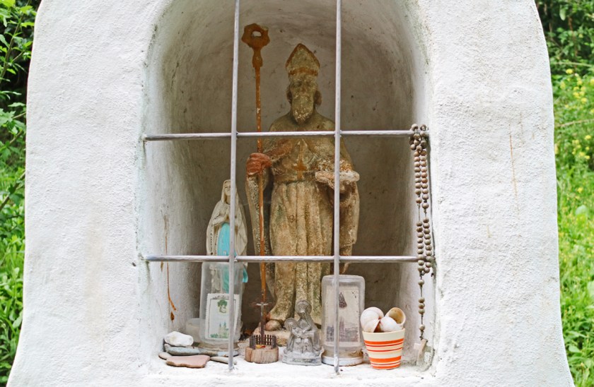 IMG_8508bearbeitet_klein