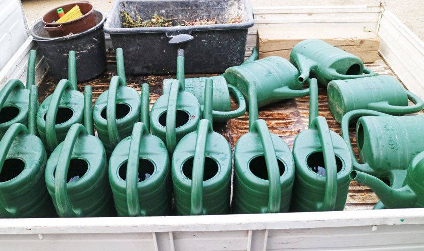 img_1215_bearbeitet_klein