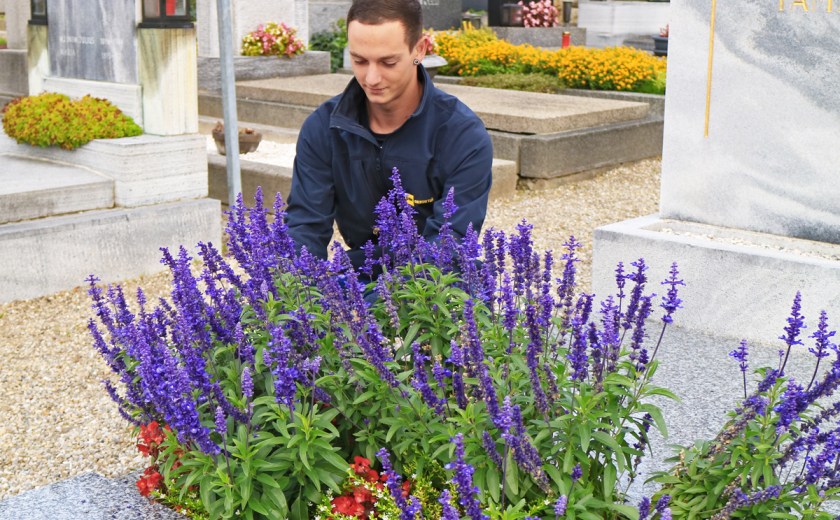 img_1218_bearbeitet_klein