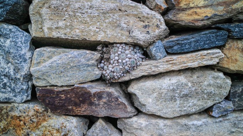 bearbeitet-klein-1746