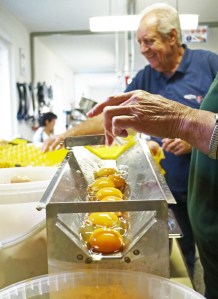 img_1887_bearbeitet_klein