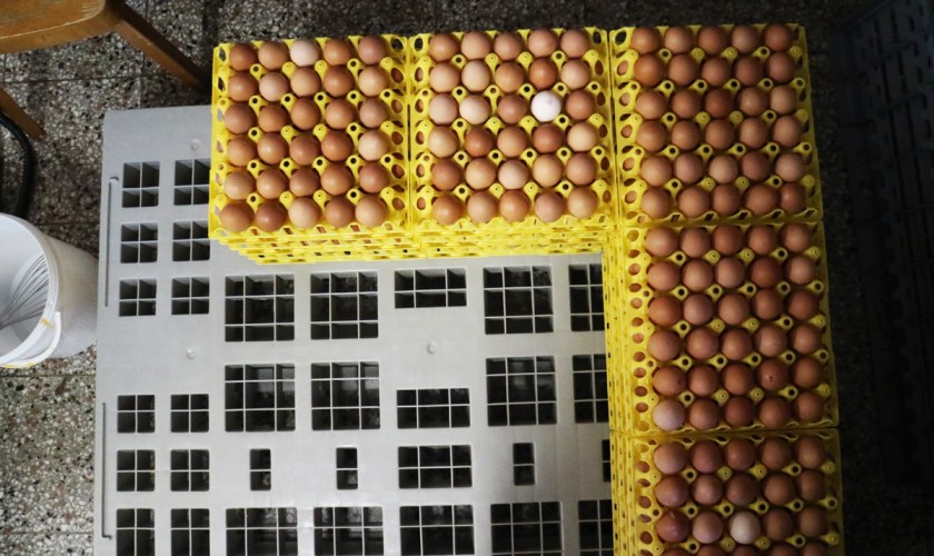 img_1899_bearbeitet_kleine