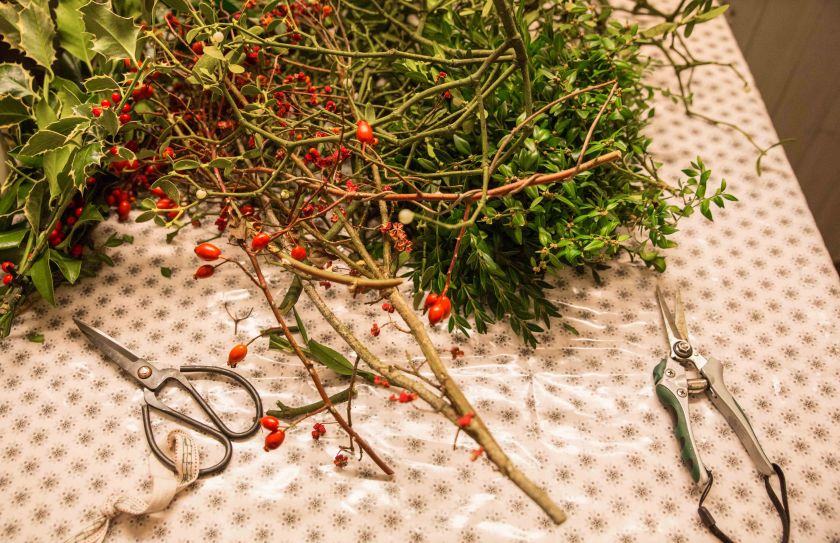 bearbeitet-klein-3692