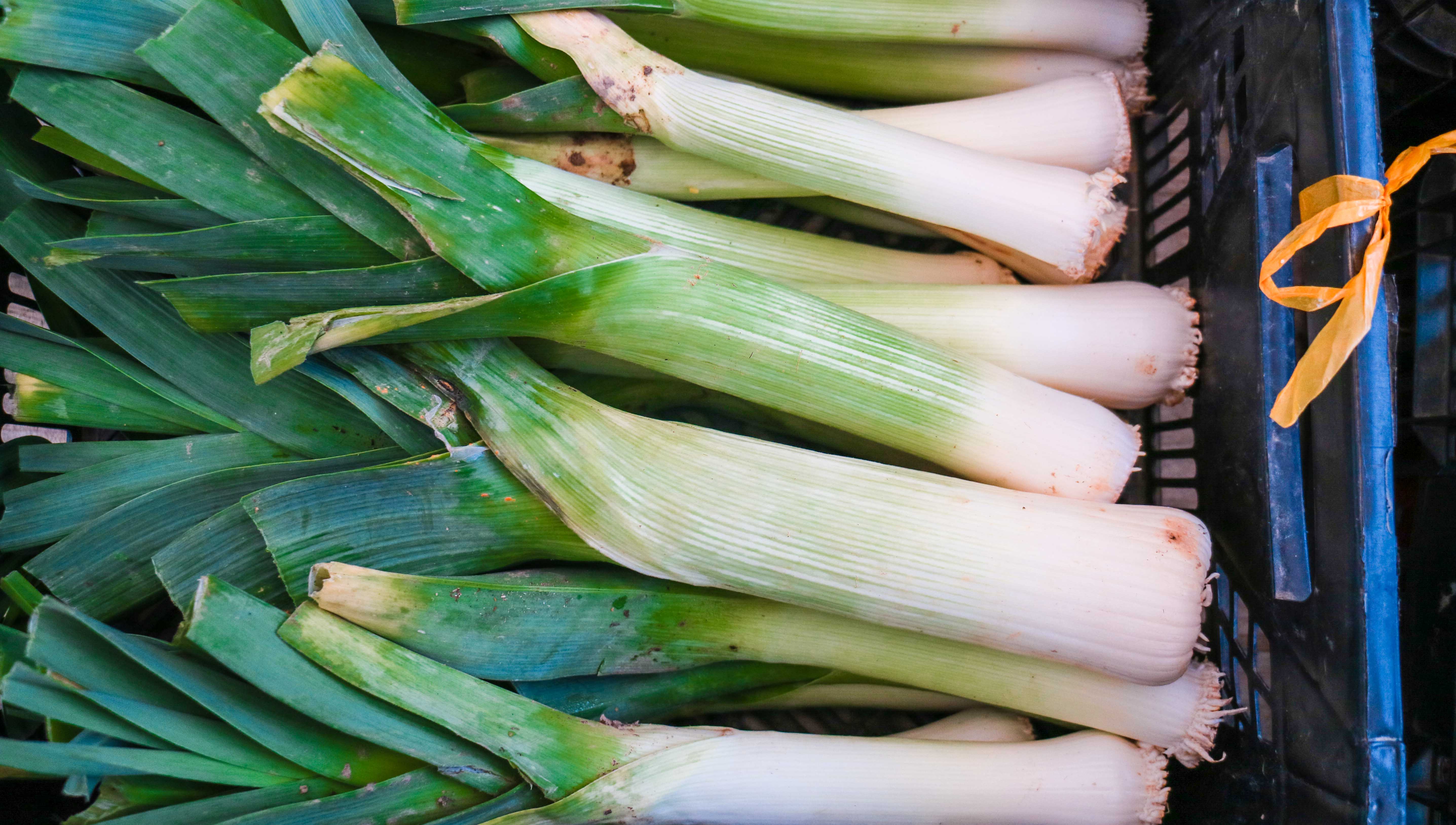 bearbeitet-klein-2291