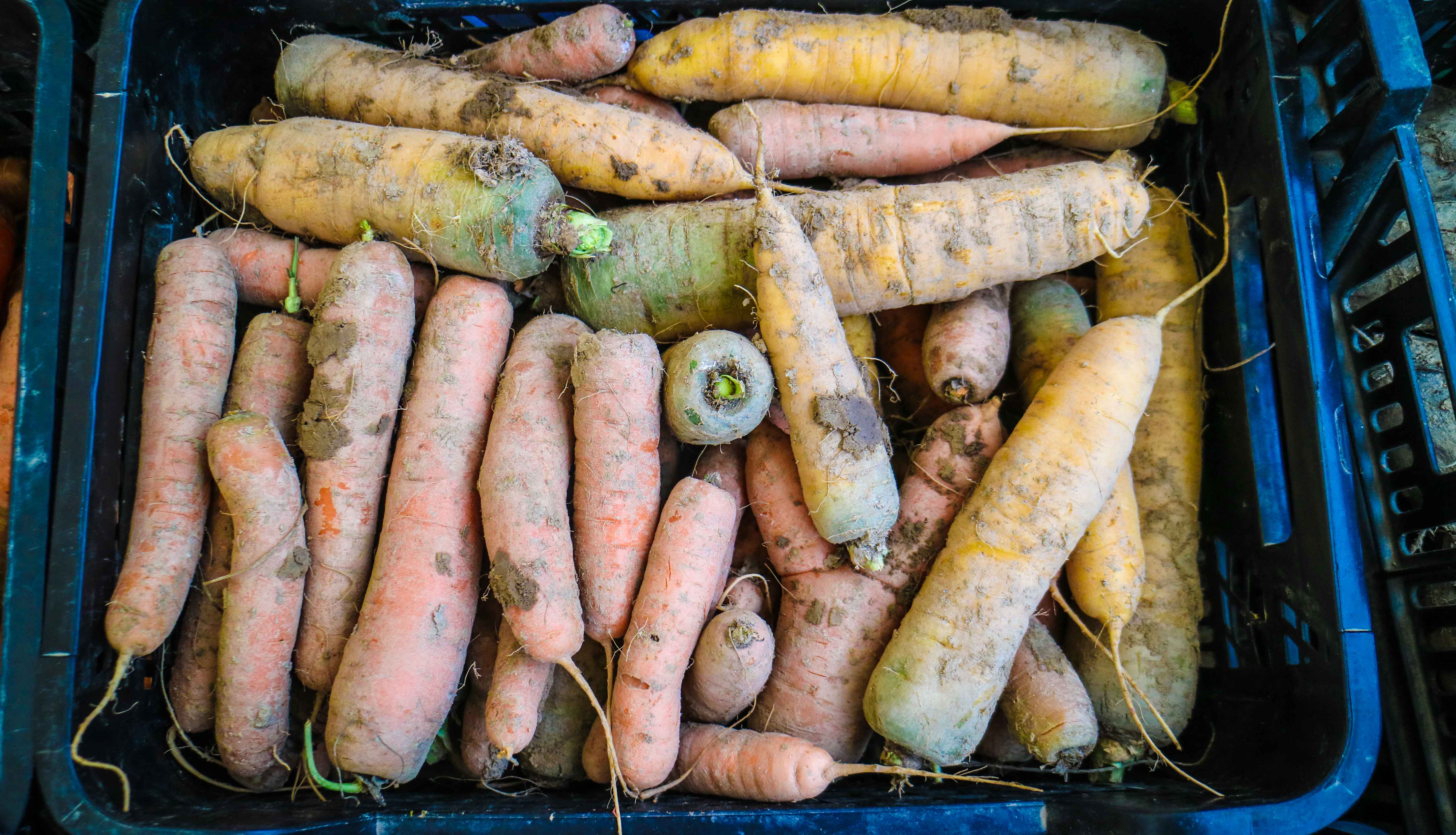 bearbeitet-klein-2294