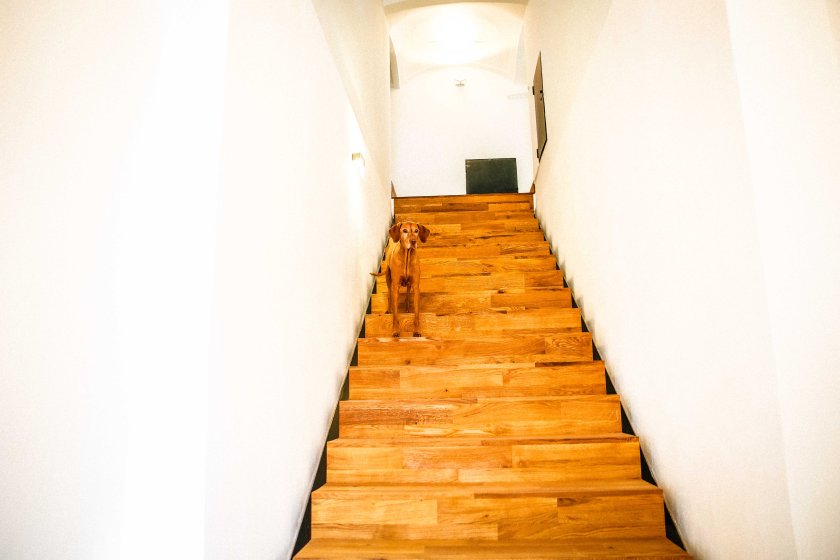 klein-bearbeitet-2-7389