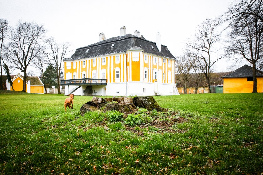 kleinbearbeitet-2-7514