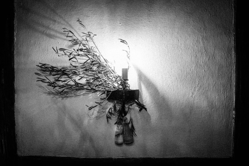 bearbeitet-klein-6526