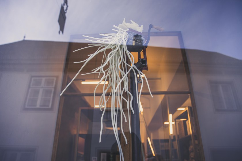 bearbeitet-klein-9470