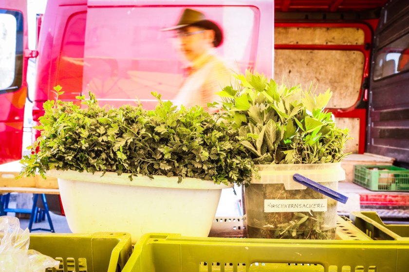 bearbeitet-klein-1907