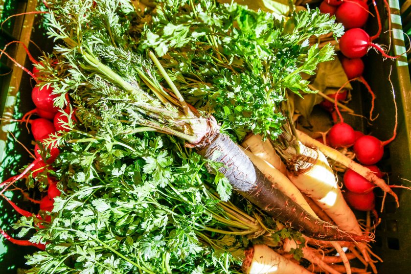 bearbeitet-klein-2017