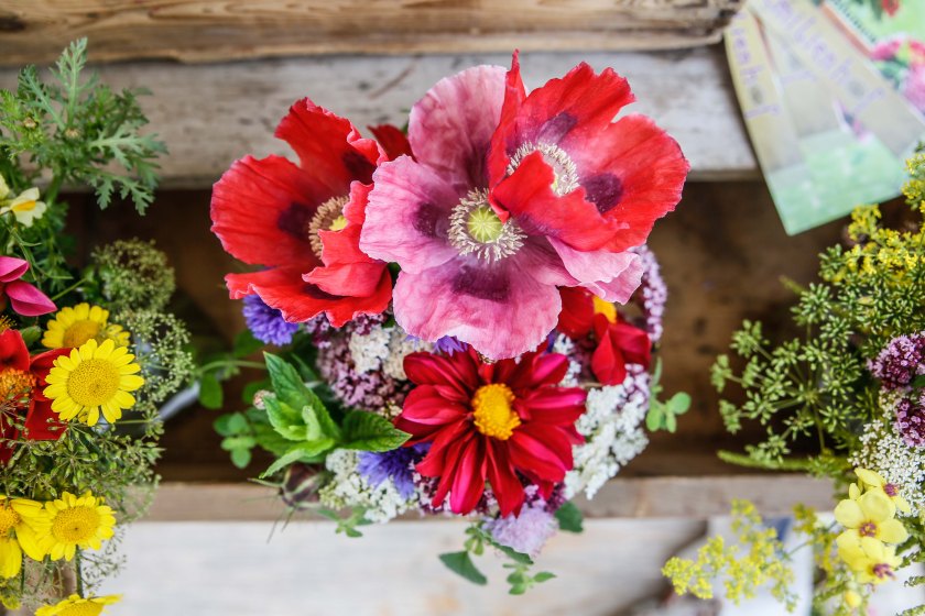 bearbeitet-klein-3500