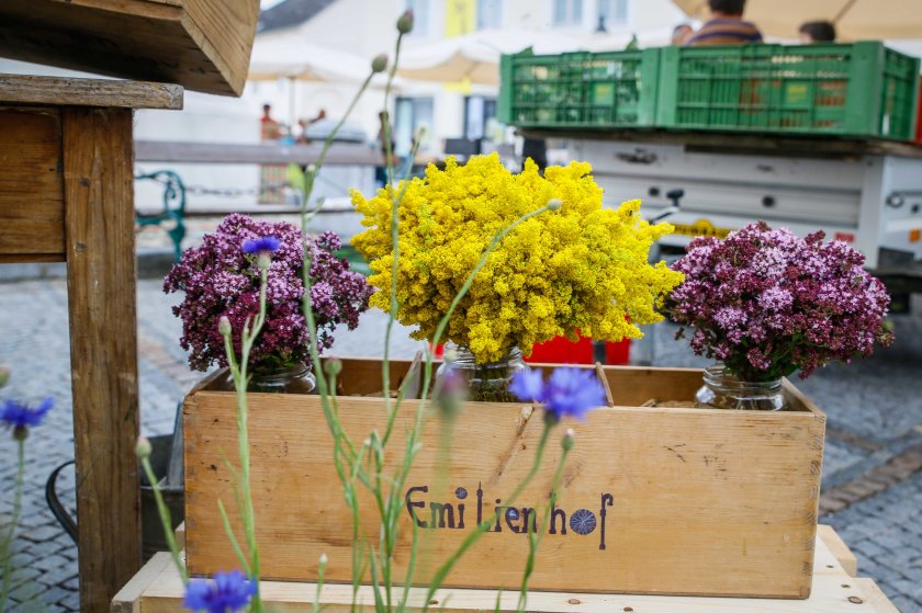 bearbeitet-klein-3531