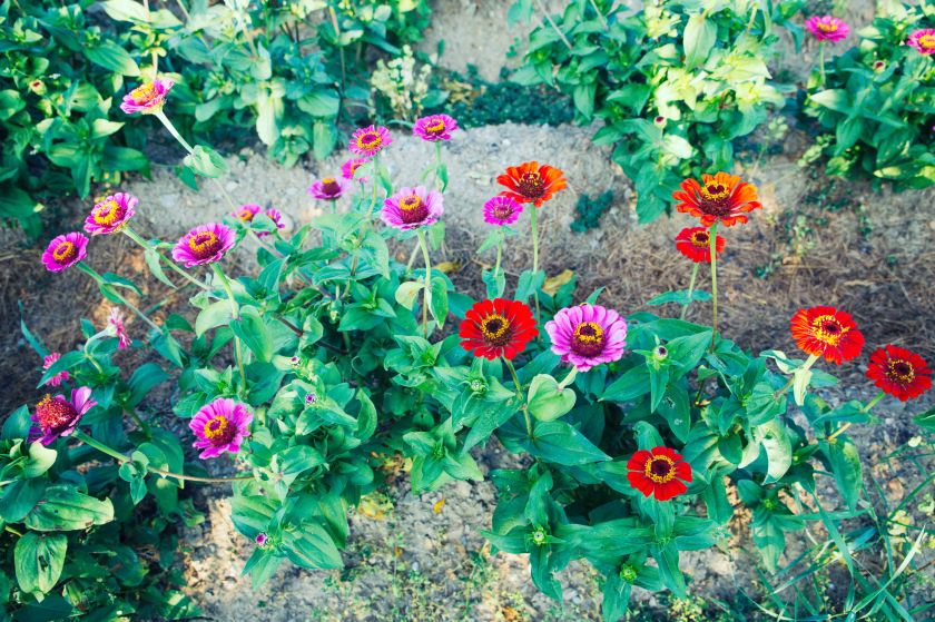 bearbeitet-klein-6580