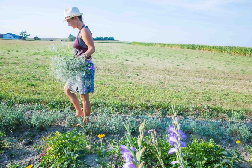 bearbeitet-klein-6631