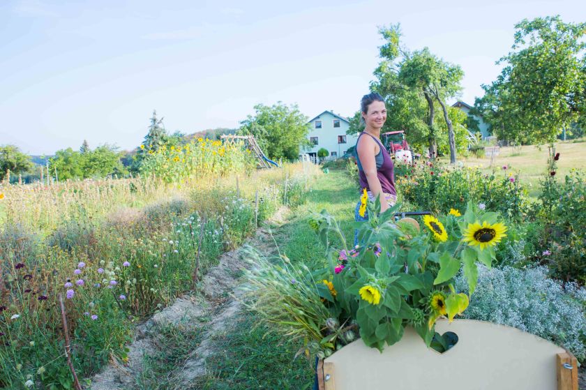 bearbeitet-klein-6648