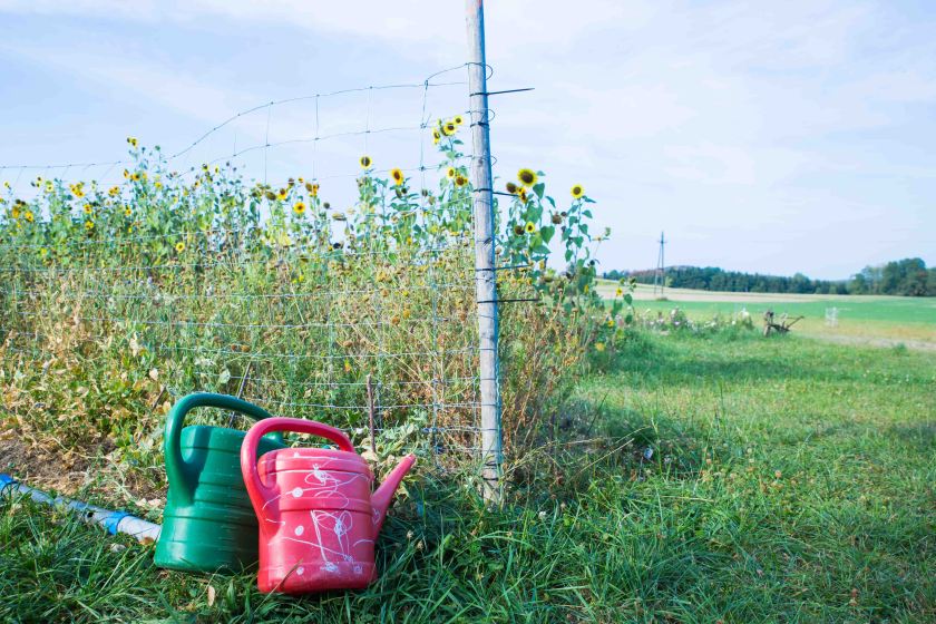 bearbeitet-klein-6678