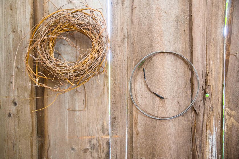 bearbeitet-klein-6718