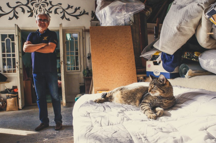 bearbeitet-klein-8823