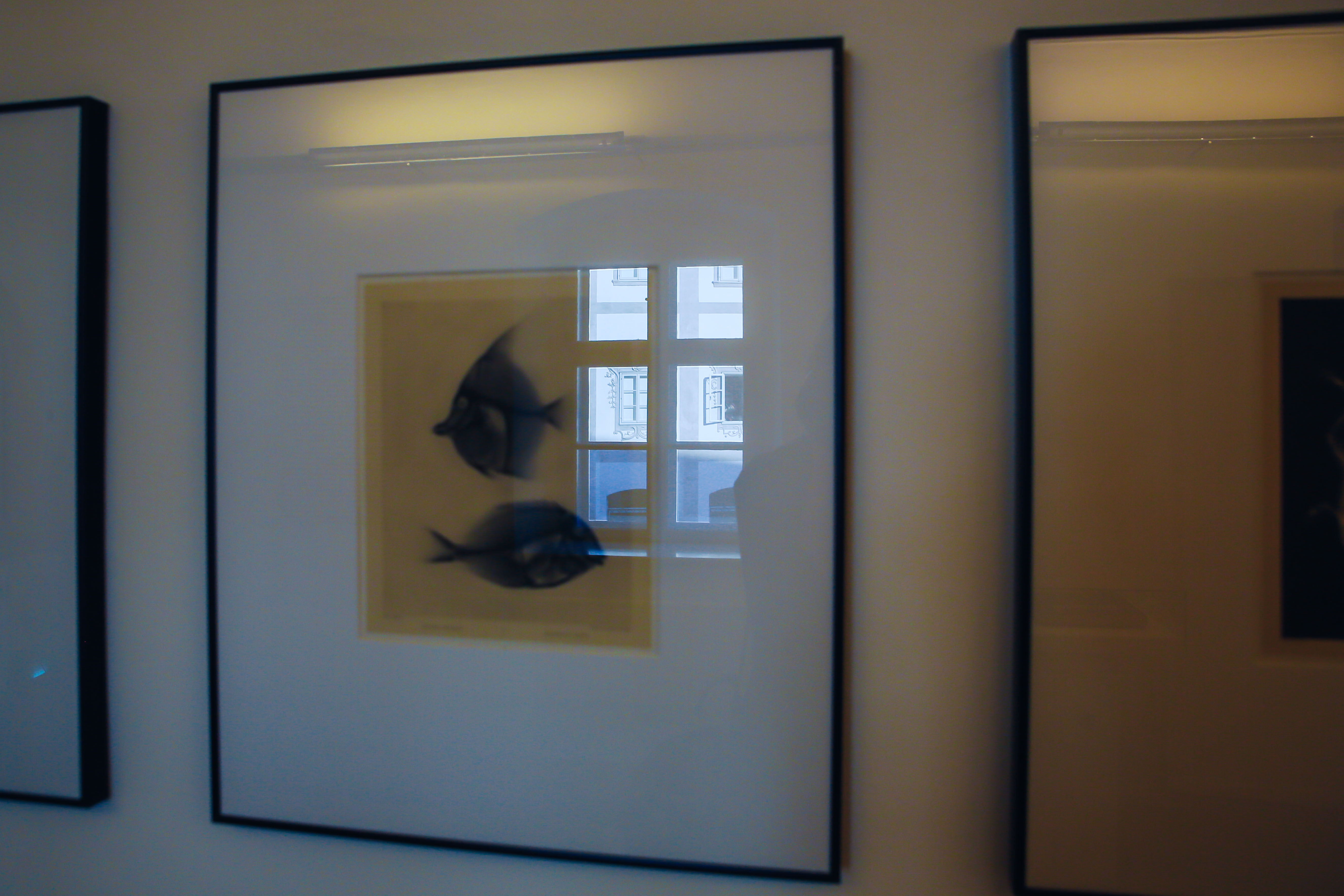 bearbeitet-klein-9004