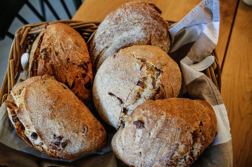 ©PamelaSchmatz-9037