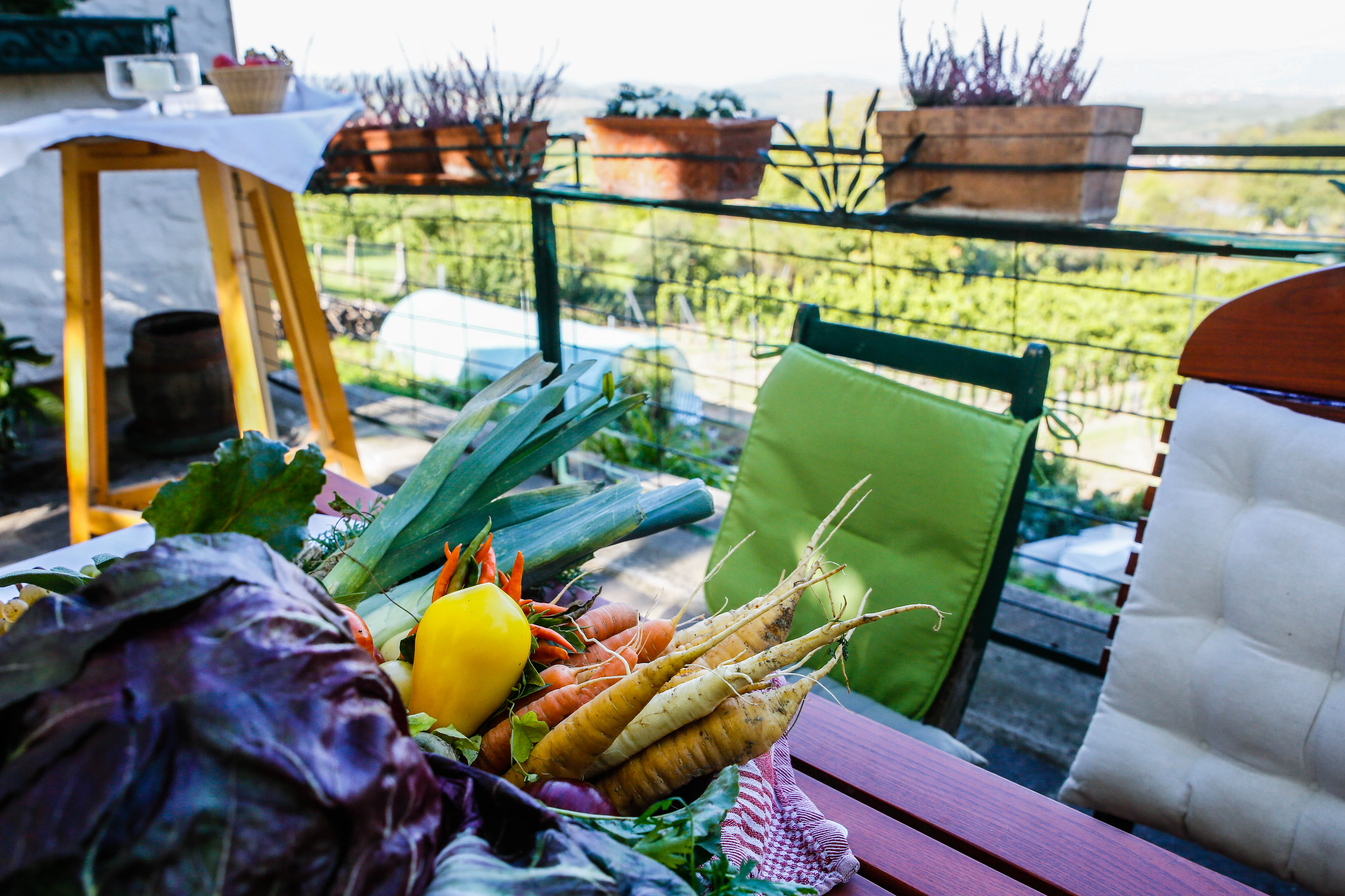 ©PamelaSchmatz-9285