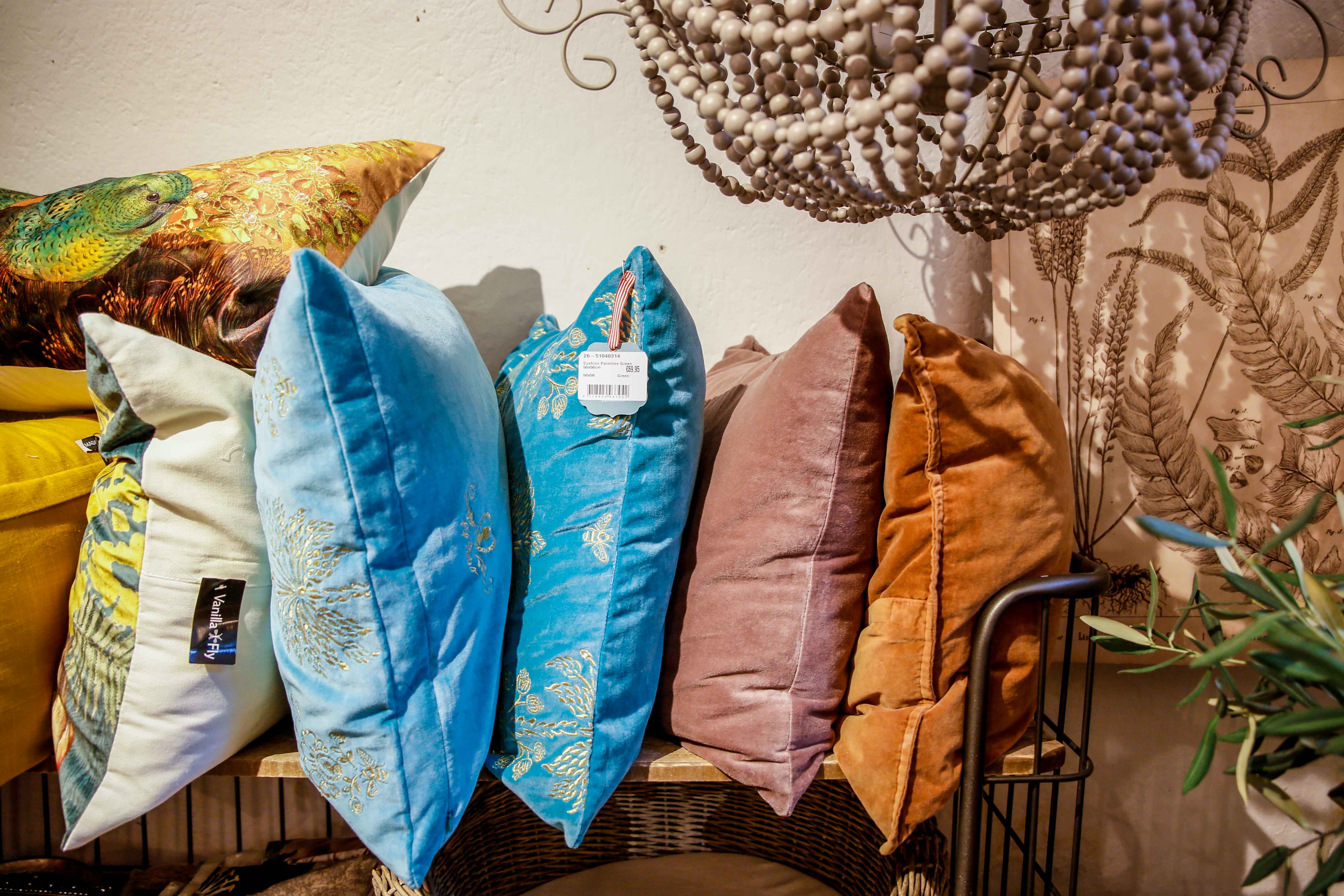 WEB©PamelaSchmatz-2025