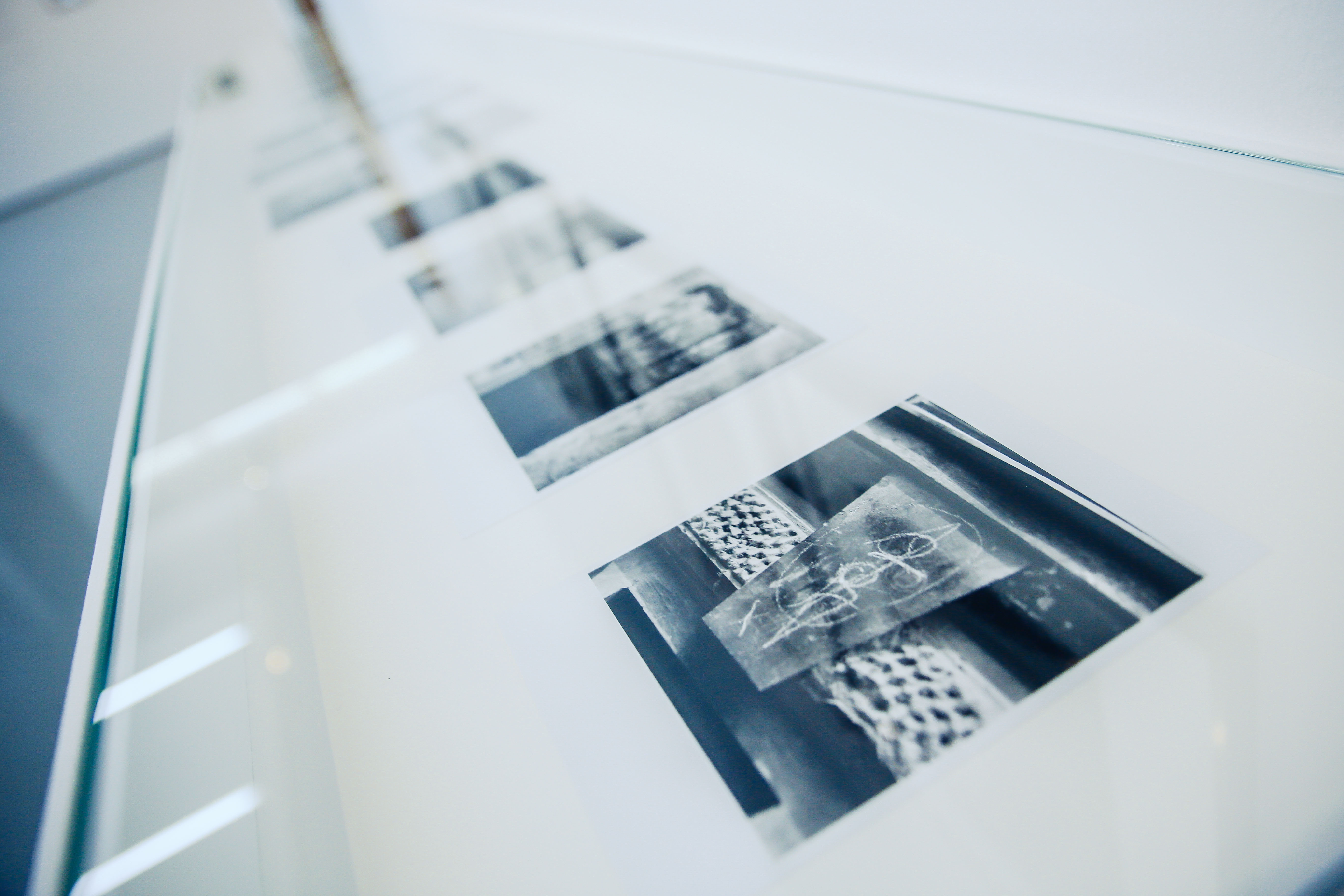 pamelaschmatz_forumfrohner-9966