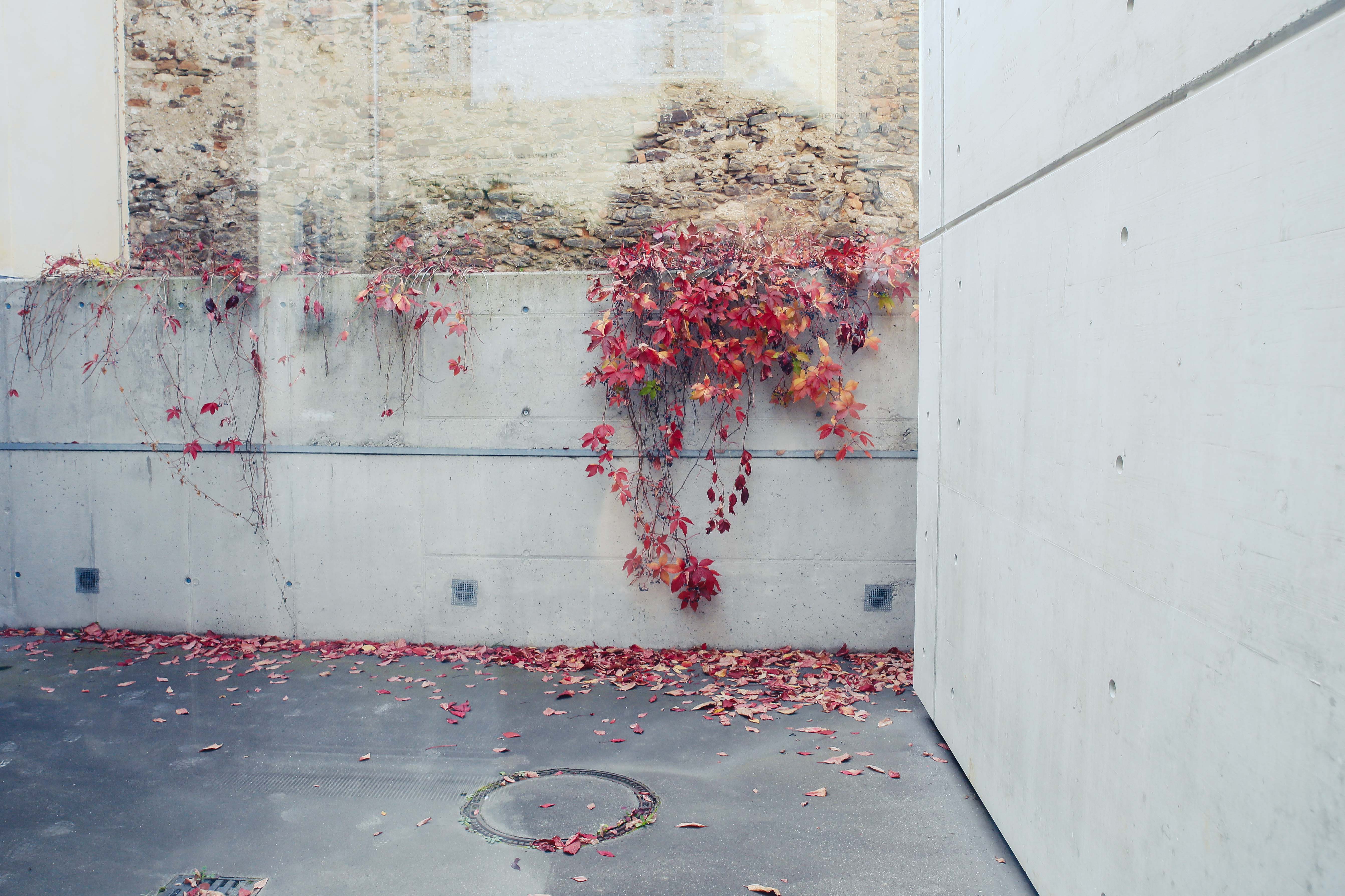 pamelaschmatz_forumfrohner-9984