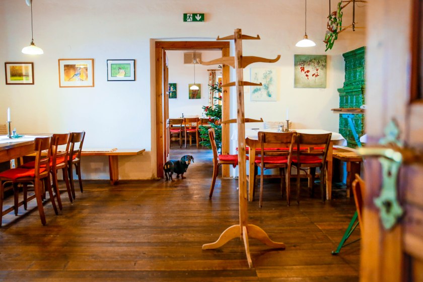 web-pamelaschmatz-9055