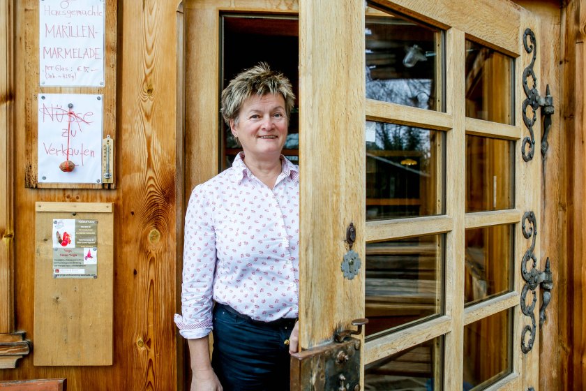 web-pamelaschmatz-9102