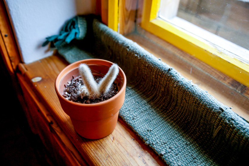 web-pamelaschmatz-9135