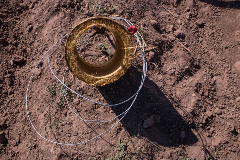 web-pamelaschmatz-7842