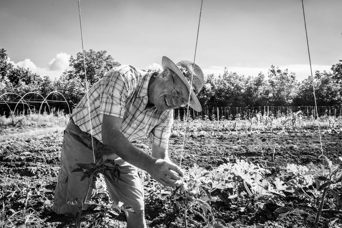 Paradies der Paradeiser.