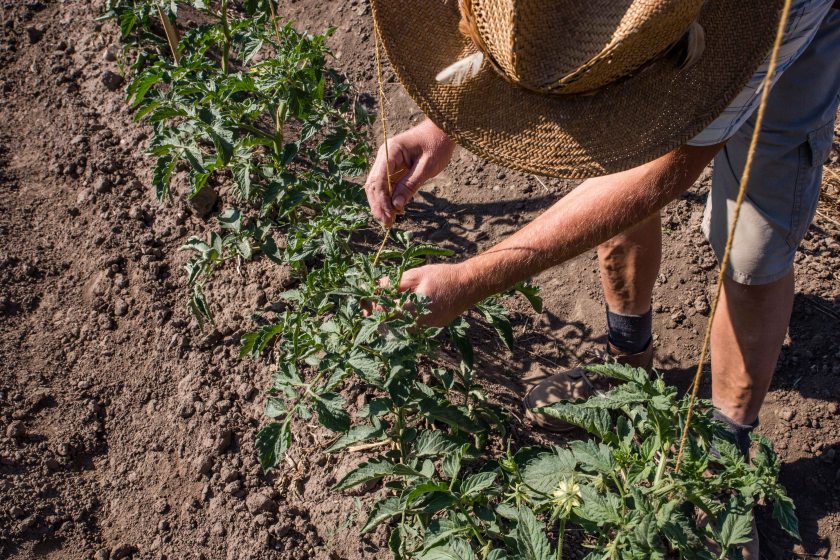web-pamelaschmatz-7869