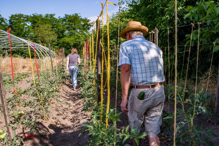 web-pamelaschmatz-7952