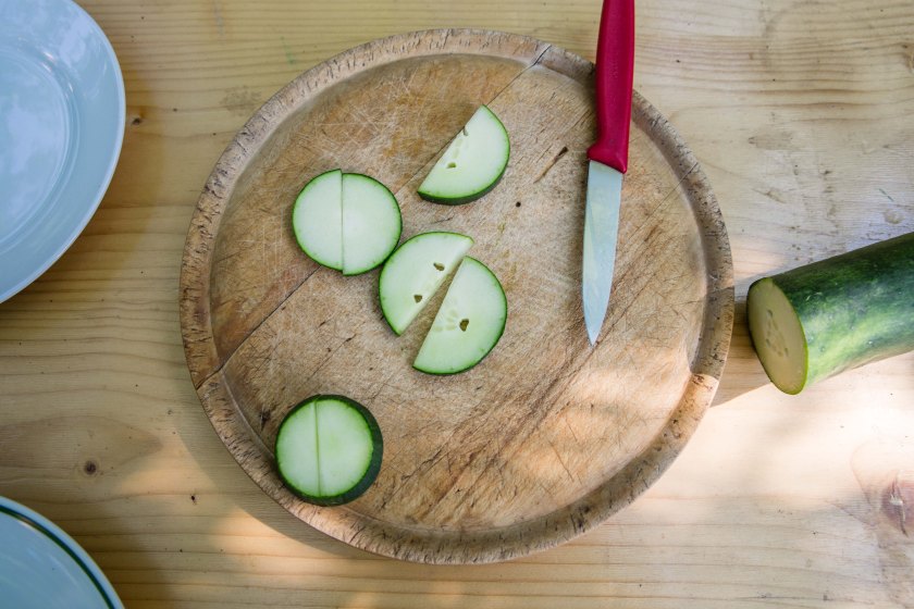 web-pamelaschmatz-8022