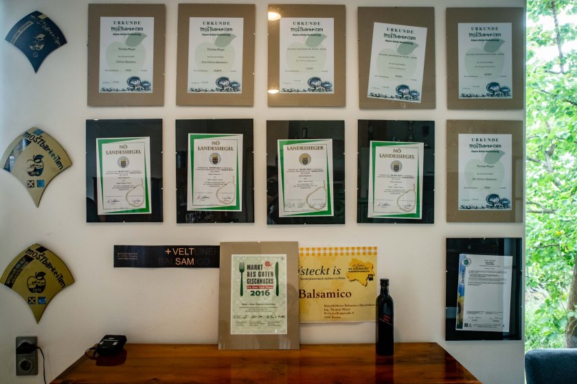 web-pamelaschmatz-8254