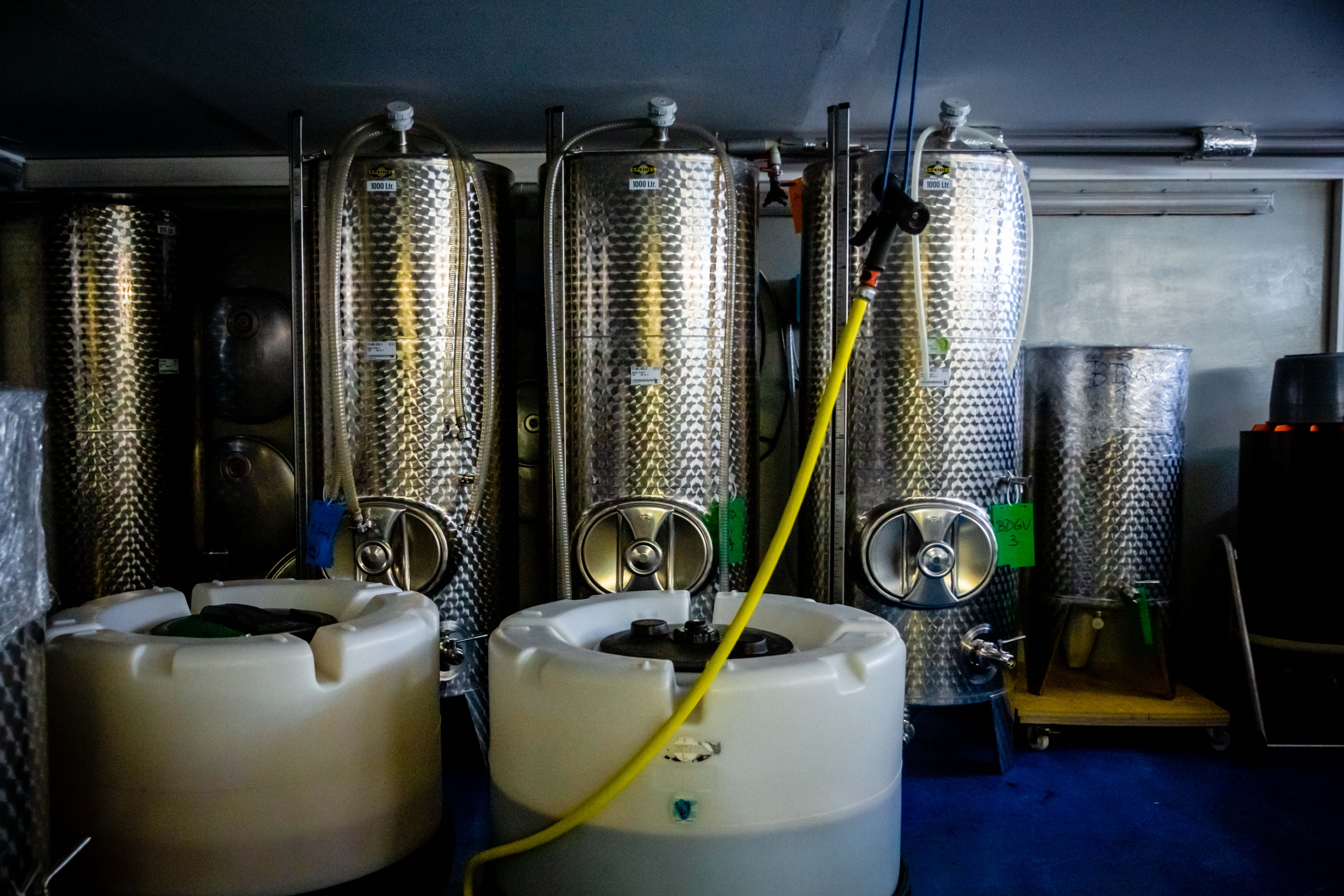 web-pamelaschmatz-8268