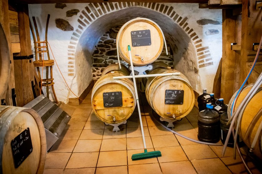 web-pamelaschmatz-8281