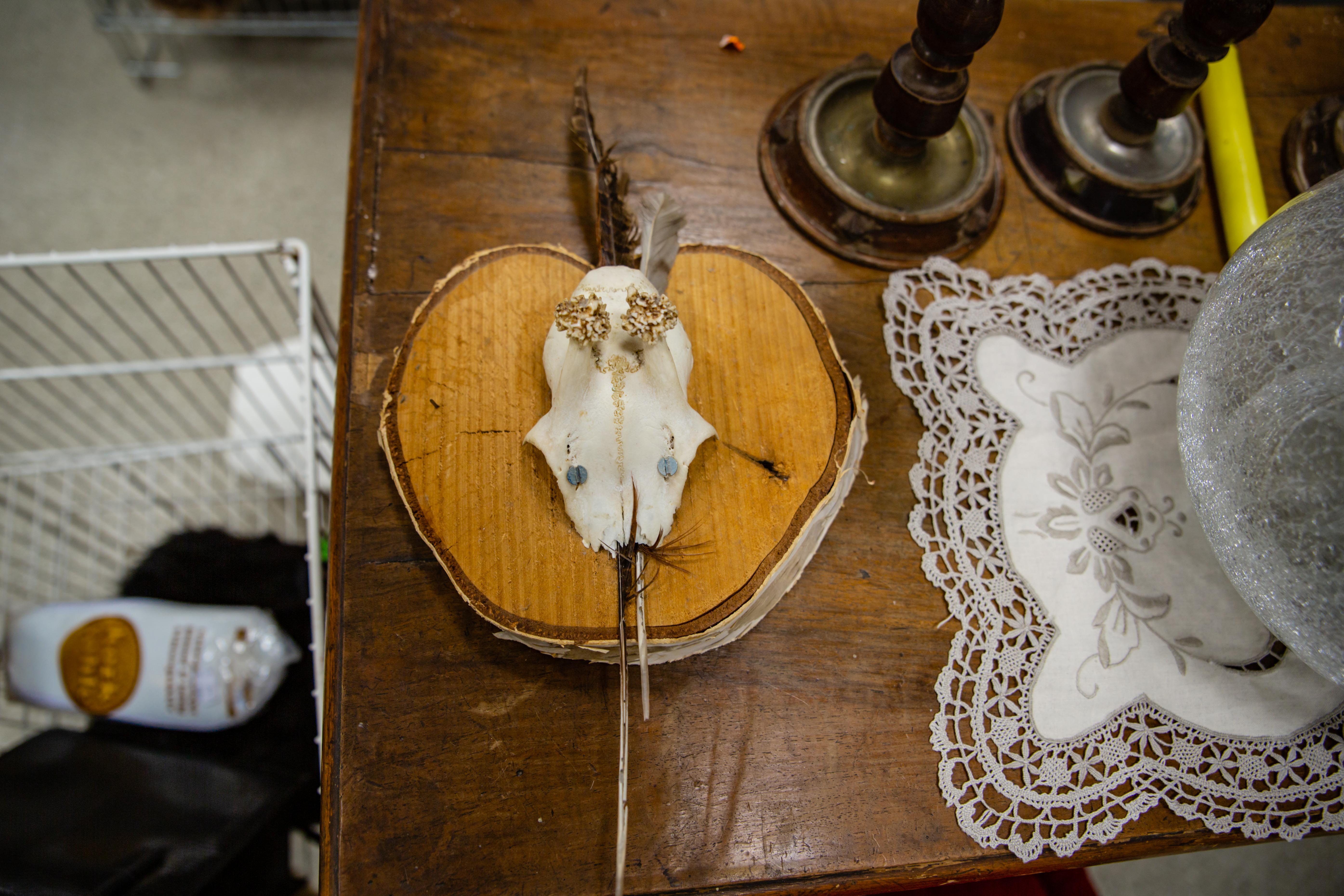 web©PamelaSchmatz_17A0002