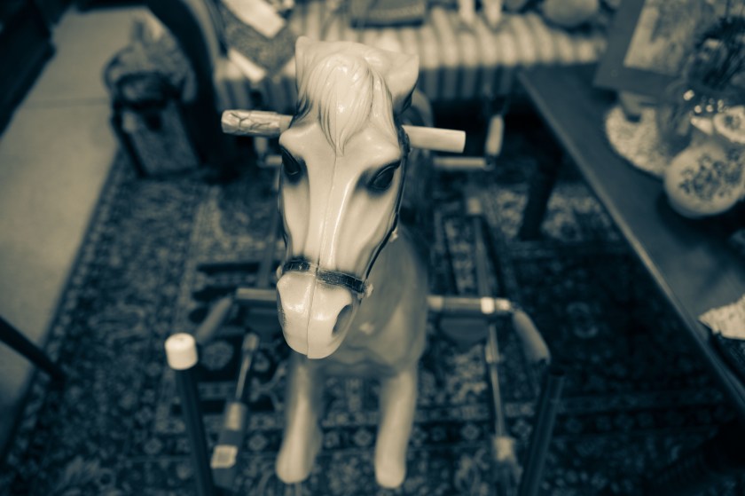 web©PamelaSchmatz_17A0011